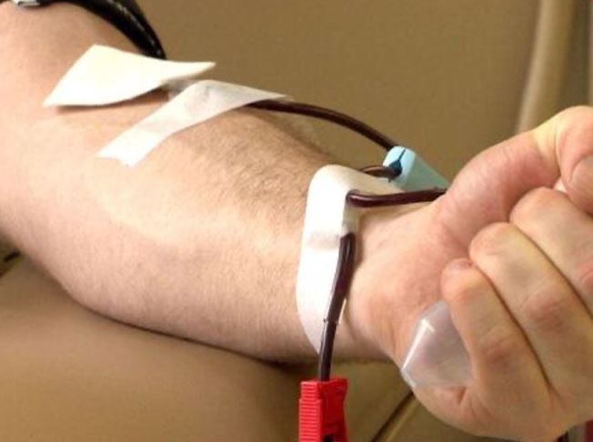  پایان ممنوعیت اهدای خون برای مردانی است که با مردان رابطه جنسی دارند