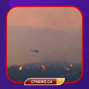 قبرس با گسترش آتشسوزی، خواهان کمکهای بینالمللی شد