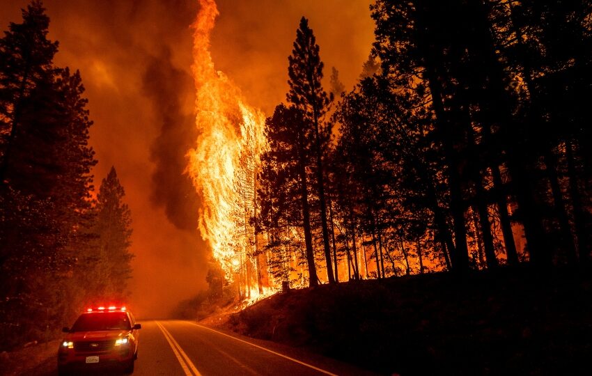  باد‌های پیش‌بینی نشده به رشد آتش‌سوزی‌ها کمک می‌کند