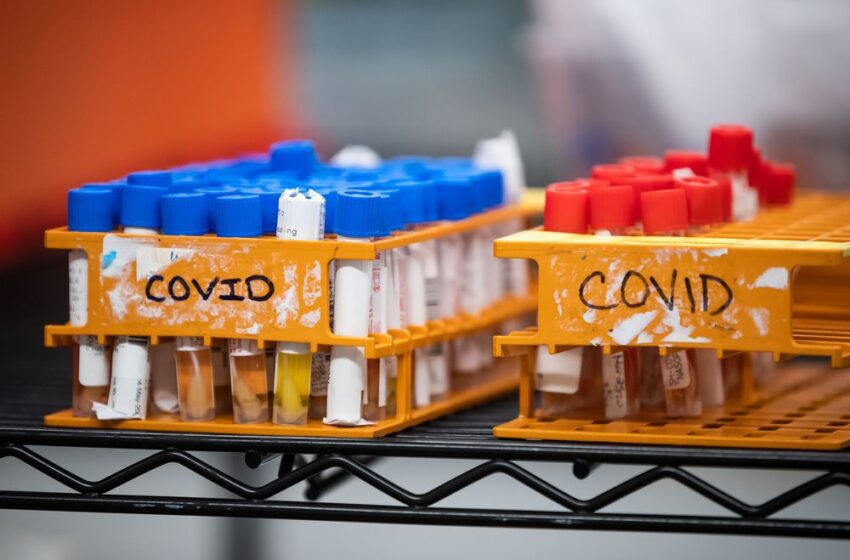 کمتر از ۷۰۰ کیس کرونایی در آنتریو