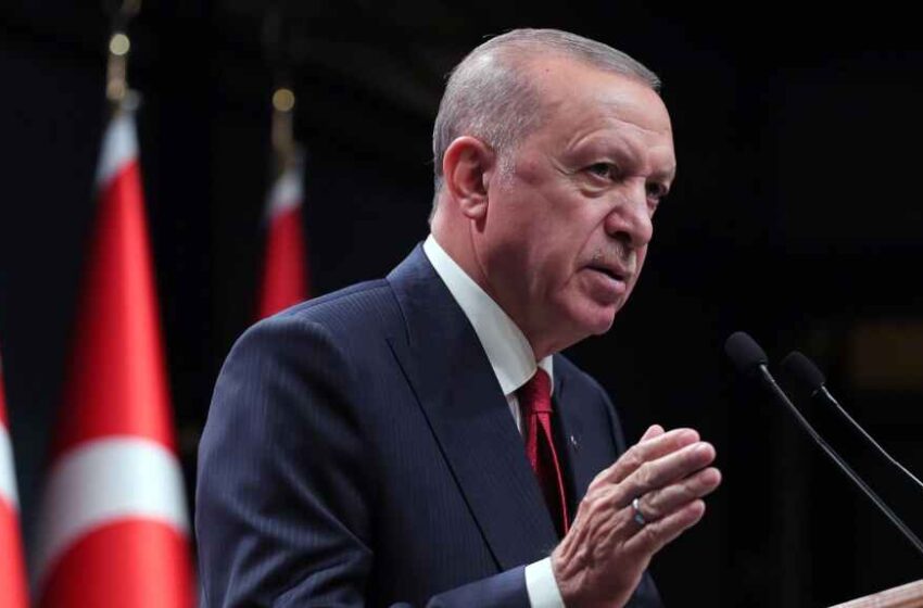  اردوغان دستور برکناری ۱۰ سفیر را صادر کرد