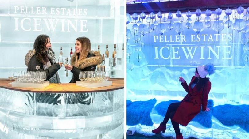  سالنی یخی در کارخانه شراب سازی Niagara Winery