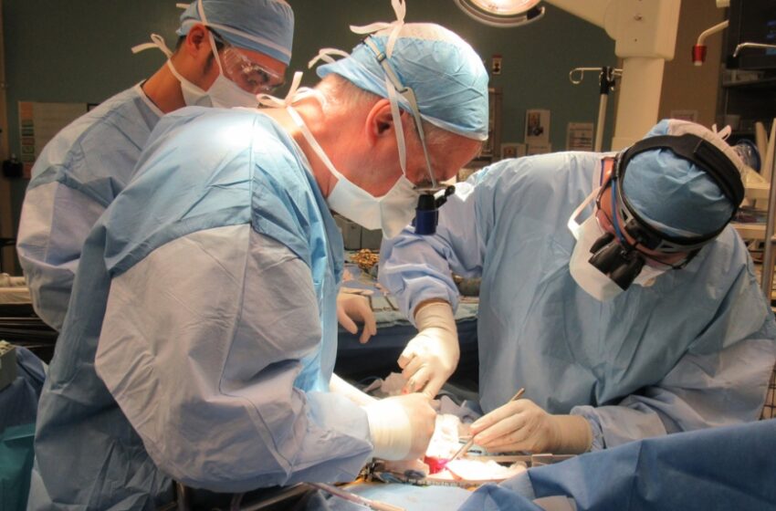  پزشکان مرد در انتاریو به طور نامتناسبی بیماران را به جراحان مرد ارجاع می دهند
