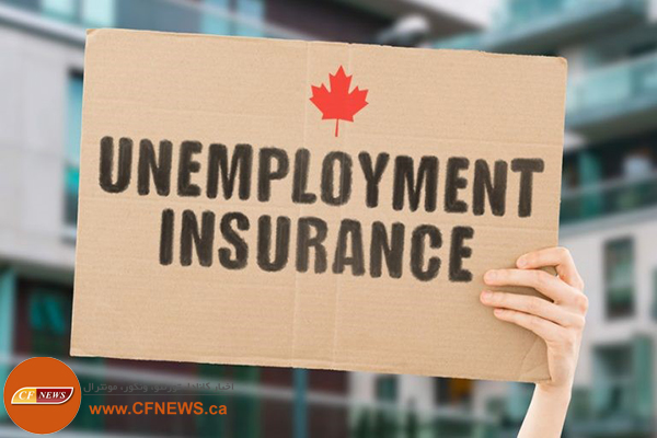 بیمه بیکاری در کانادا