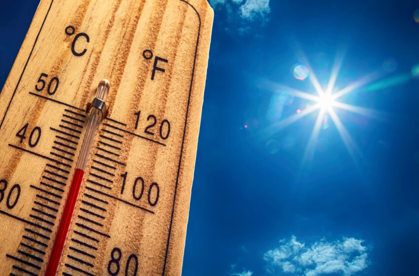  استرالیا بالاترین دمای ۶۲ سال اخیر خود را به ثبت رساند