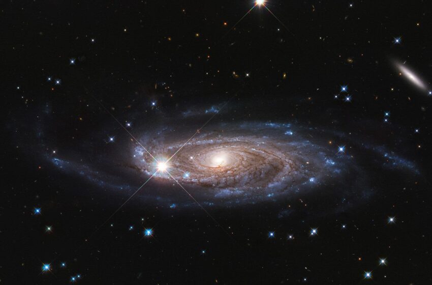  دانشمندان با انتشار تصویری از کهکشان‌ها و ستاره‌های دور از تلسکوپ فضایی جیمز وب، گیج شدند