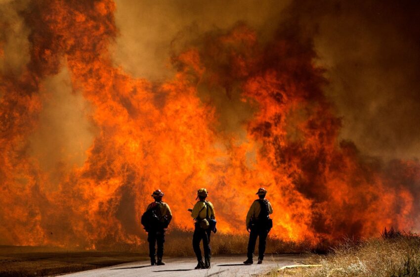  آتش سوزی در کلرادو باعث شد تا برای ۱۹۰۰۰ نفر از اهالی این منطقه دستور تخلیه صادر شود