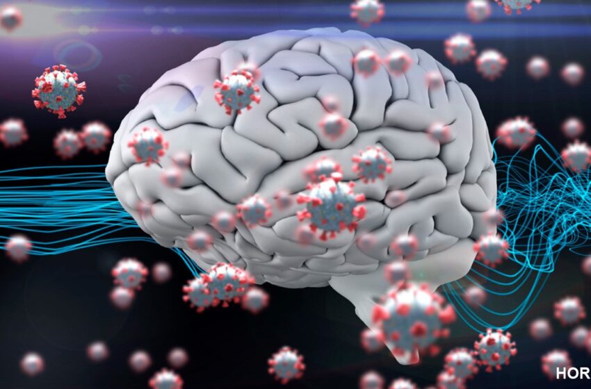  مطالعه محققان بریتانیا نشان می دهد که COVID-19 می تواند به بافت مغز آسیب برساند