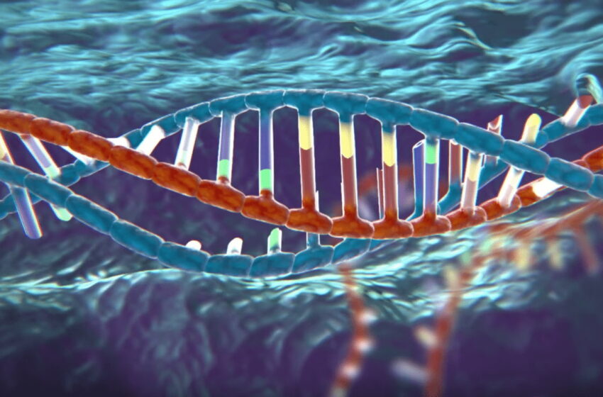  ژنوم انسان برای اولین بار در یک پیشرفت بزرگ علمی به طور کامل بررسی شد