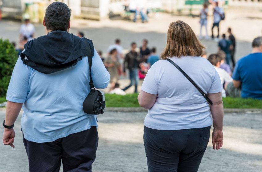  سازمان ملل: سطح چاقی در اروپا رشد پیدا کرده است