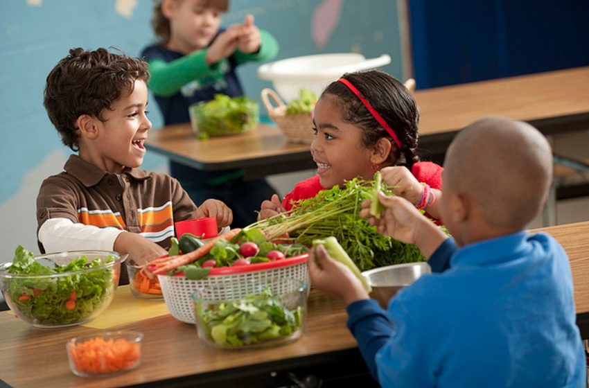  مطالعات رشد مشابهی را میان کودکان گیاهخوار و گوشت خوار نشان می دهد