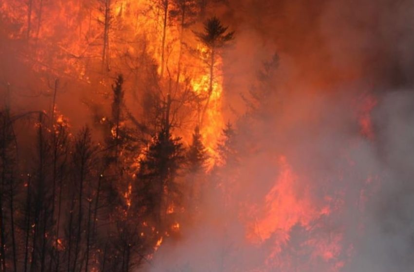  با ادامه آتش‌سوزی جنگل‌ها، بزرگراه اصلی به روی مردم نیوفاندلند بازگشایی شد.
