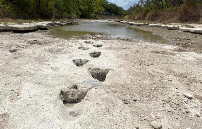 ردپای دایناسورها