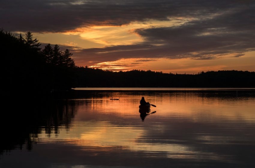 پارک استانی تونتو